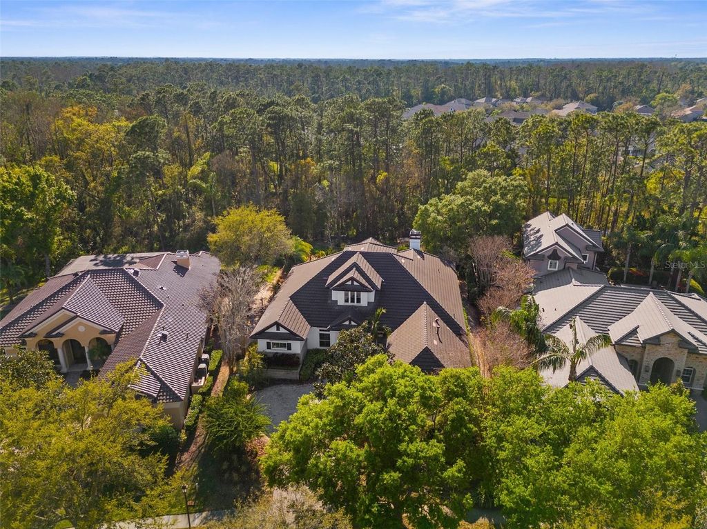 Photo of 11912 Royce Waterford Circle, Tampa, FL 33626 (MLS # TB8383086)
