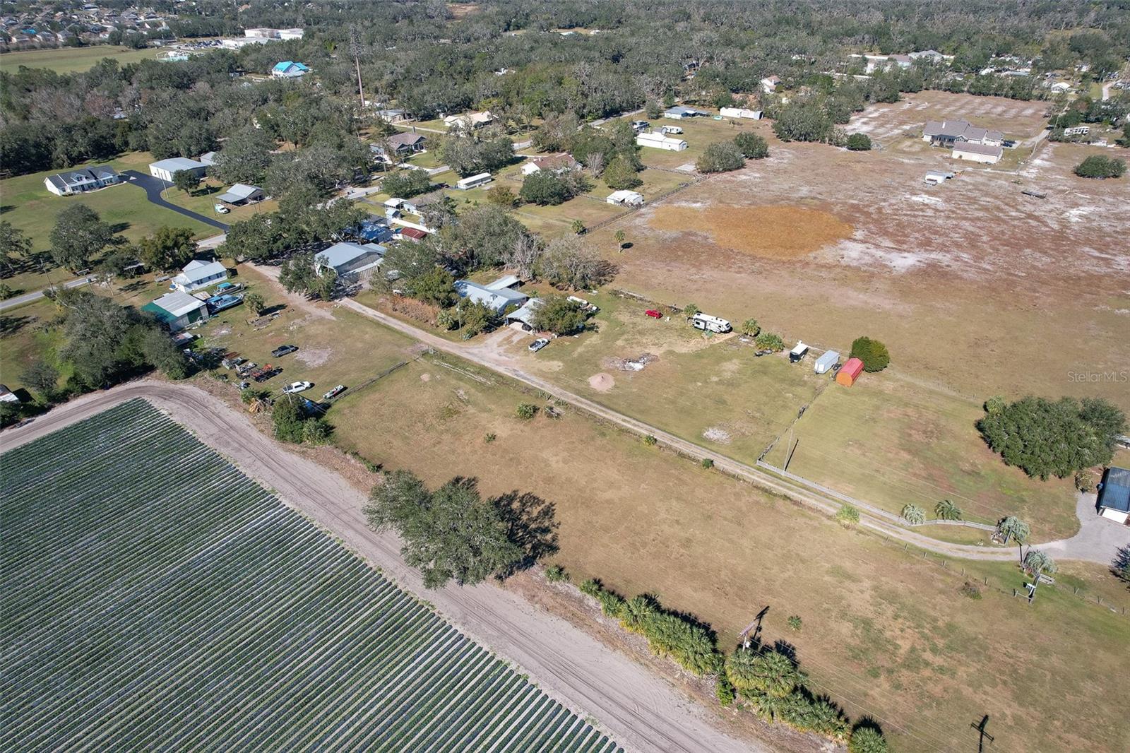 MASTON GROVE