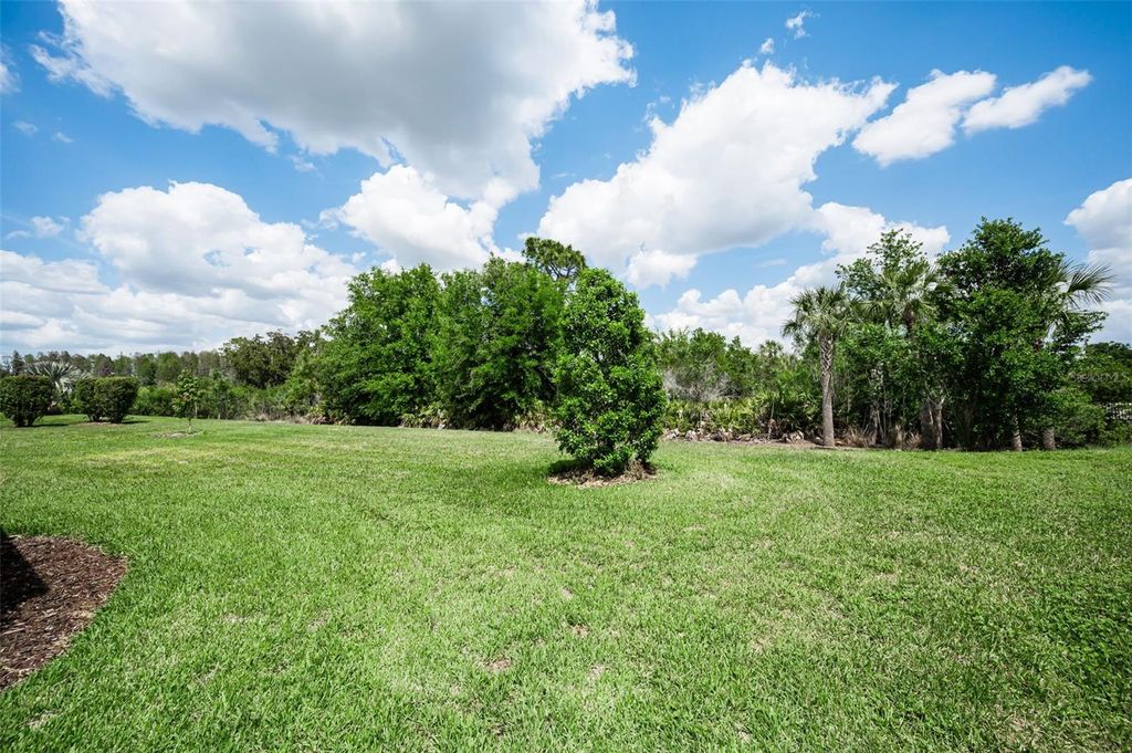Photo of 11151 Calluna Drive, Odessa, FL 33556 (MLS # W7884483)
