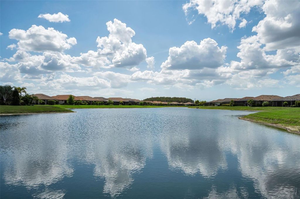 Photo of 11151 Calluna Drive, Odessa, FL 33556 (MLS # W7884483)