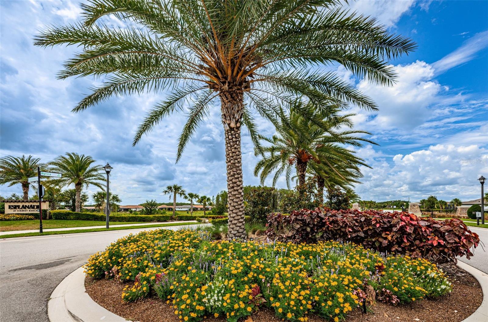 ESPLANADE/STARKEY RANCH PH 3 - Residential