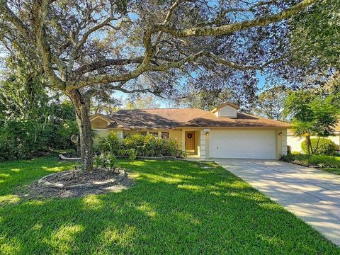 10040 SILVER BLUFF DRIVE LEESBURG FL 34788