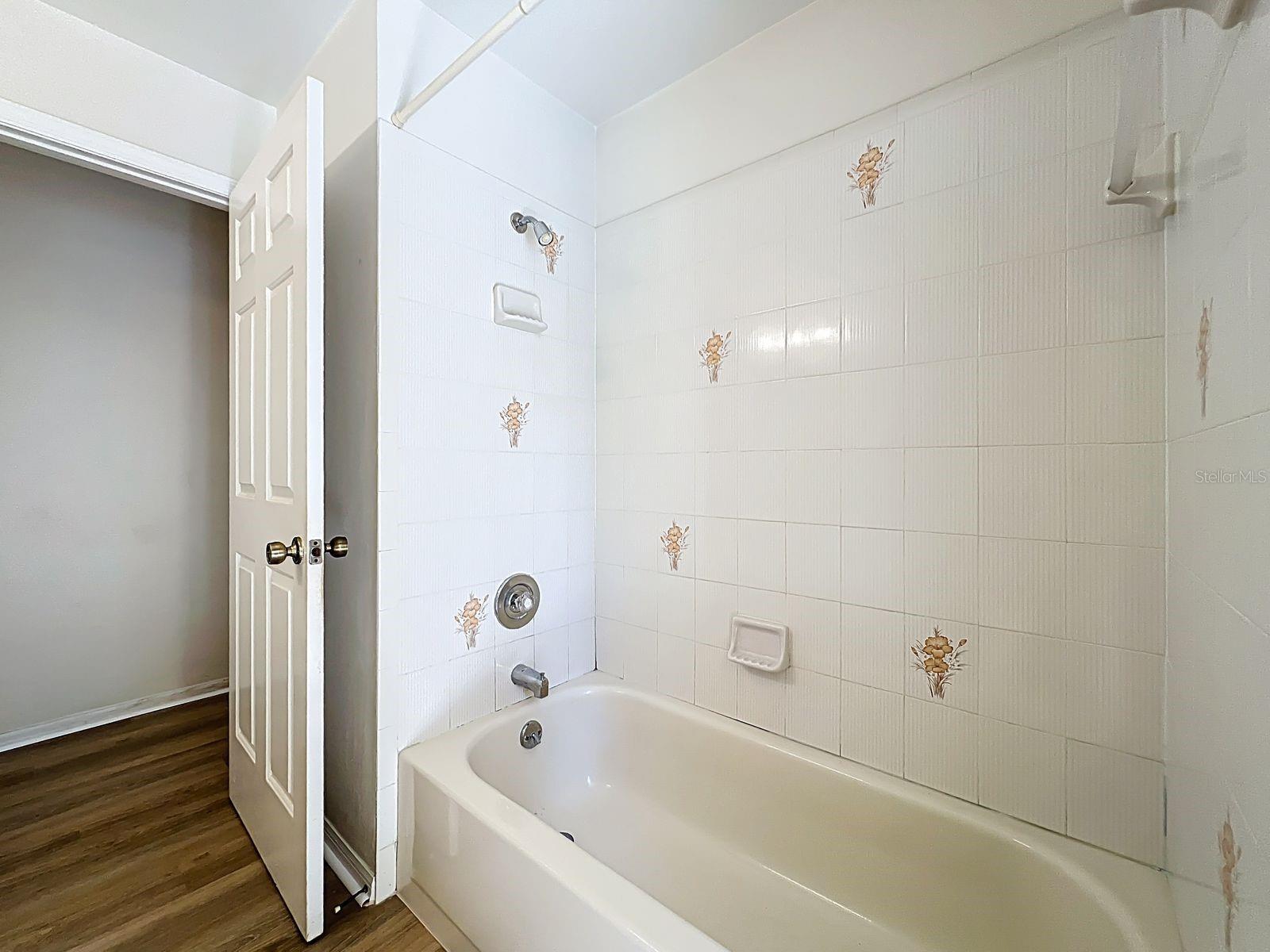 SILVER LAKE FOREST - Residential