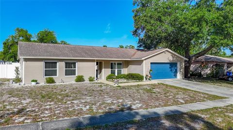 Photo of 3729 Sand Pebble Drive, Valrico, FL 33596 (MLS # S5147677)