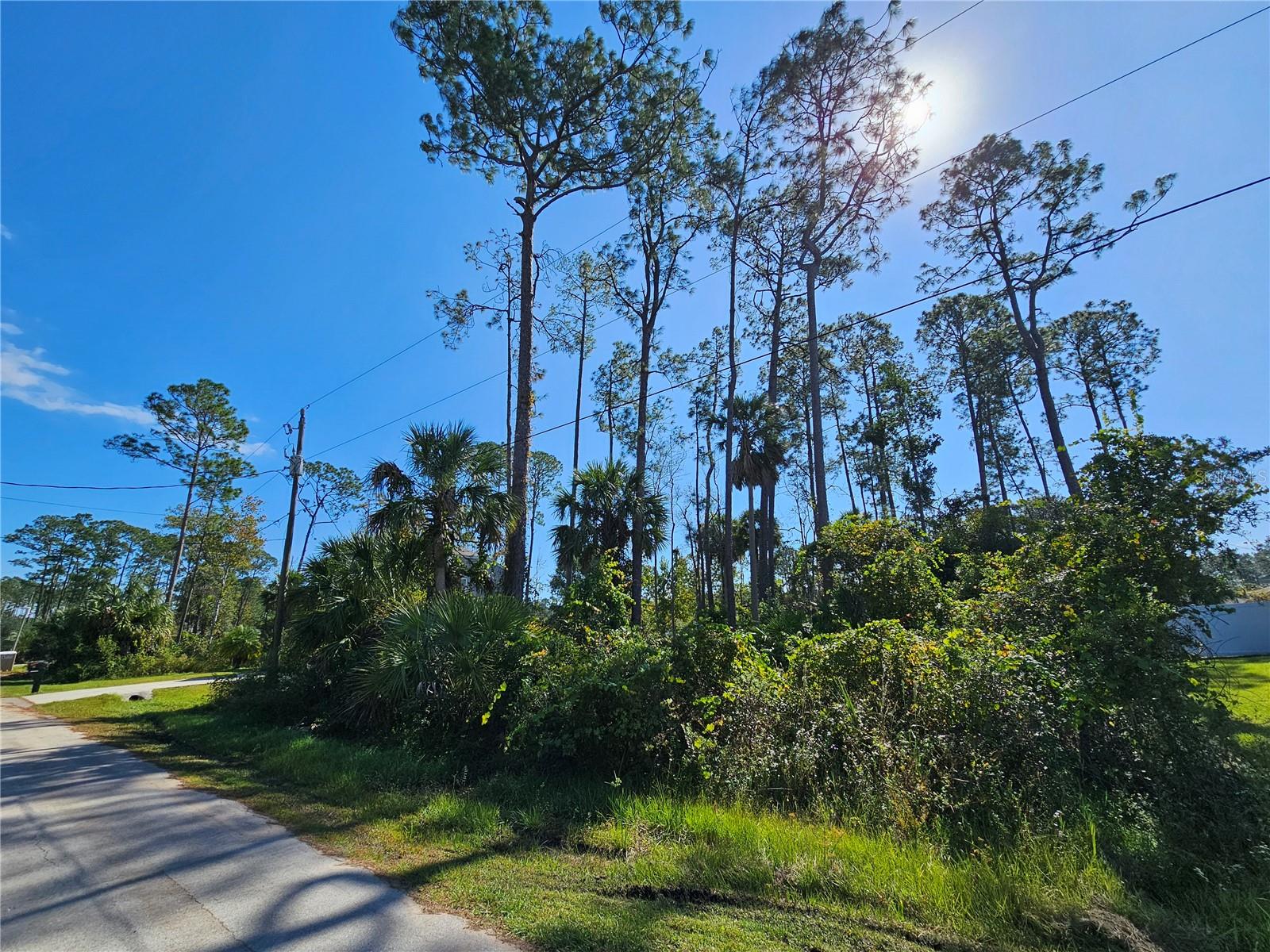 PALM COAST SEC 28 - Land