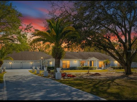 8162 OAK PARK ROAD ORLANDO FL 32819