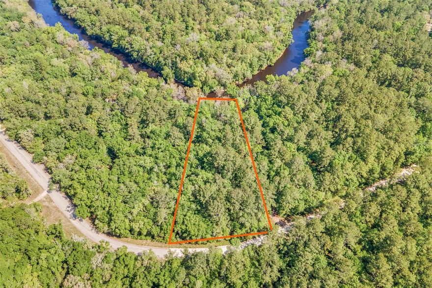 Come kick back and enjoy nature and the sounds of the water over the shoals on this serene 1.65 acre riverfront lot!  Located on the Withlacoochee River in Madison County, Florida, this beautiful lot is wooded with hardwoods and mature pines and on a quiet dirt road. Additional nearby recreational opportunities at Suwannee River State Park, Twin Rivers State Forest & Wildlife Management Area, and Madison Blue Spring State Park--all less than 20 minutes away!  LOT LINES IN AERIALS ARE APPROXIMATE