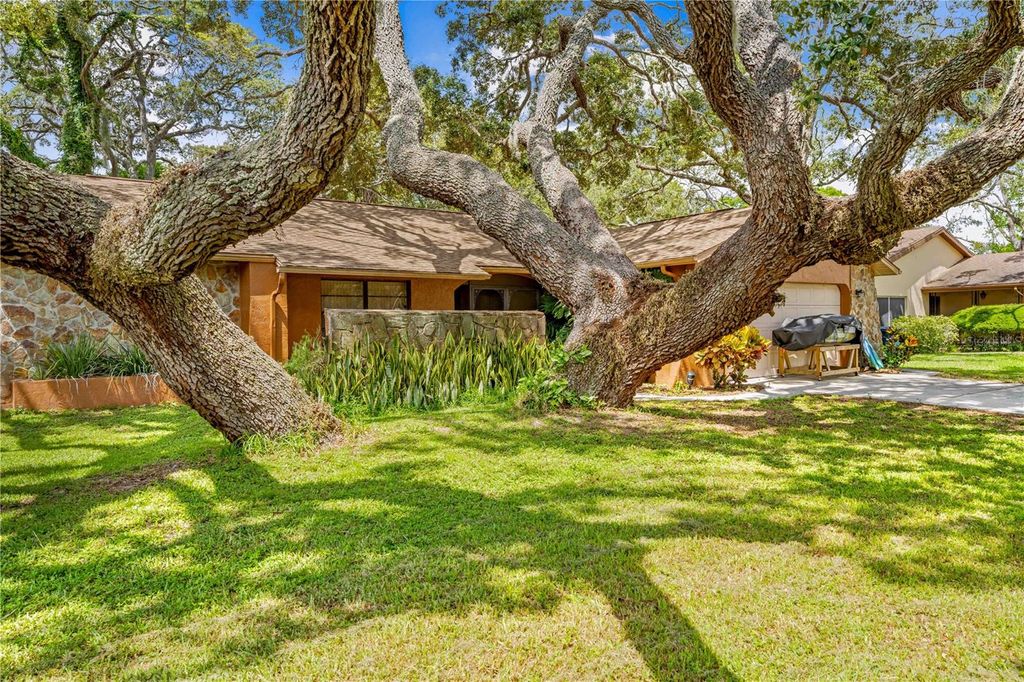 Photo of 8268 Garrison Street, Spring Hill, FL 34606 (MLS # TB8401211)