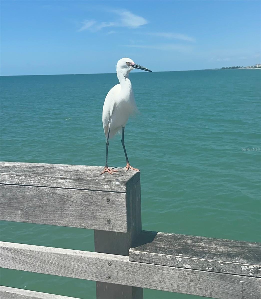 PORT CHARLOTTE SUB 34 - Residential