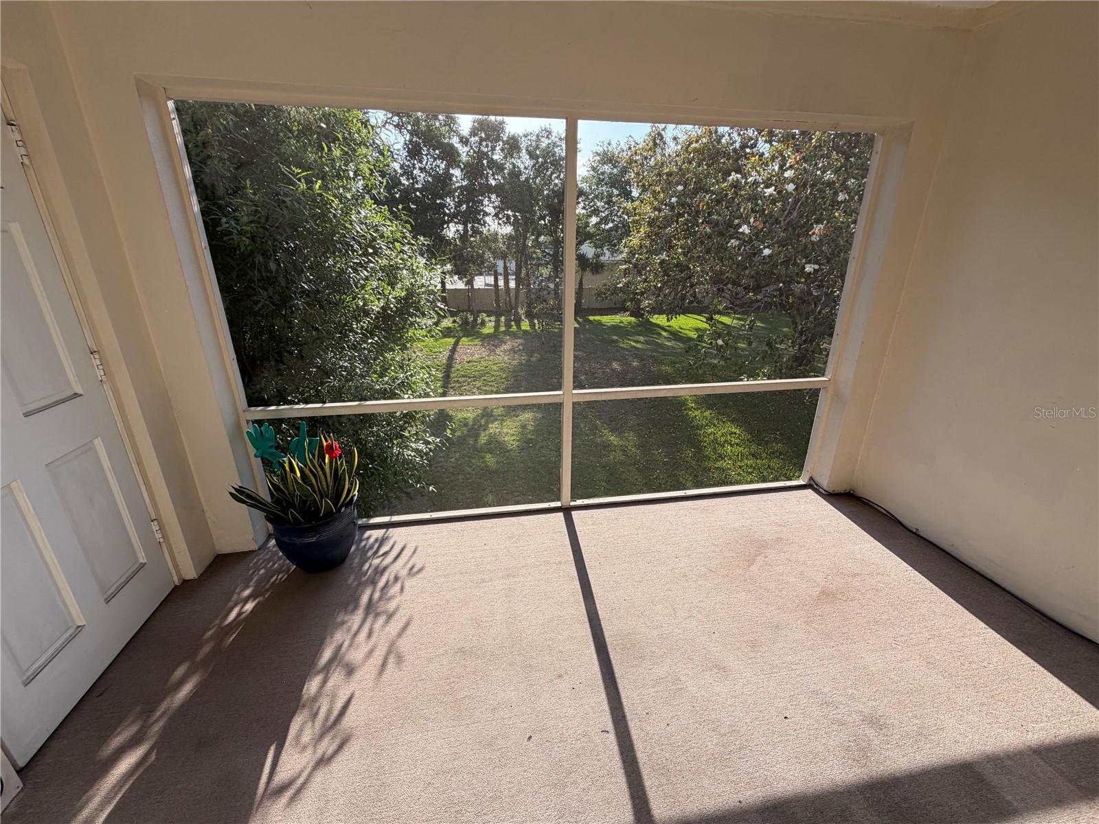 10335 CARROLLWOOD LANE 116