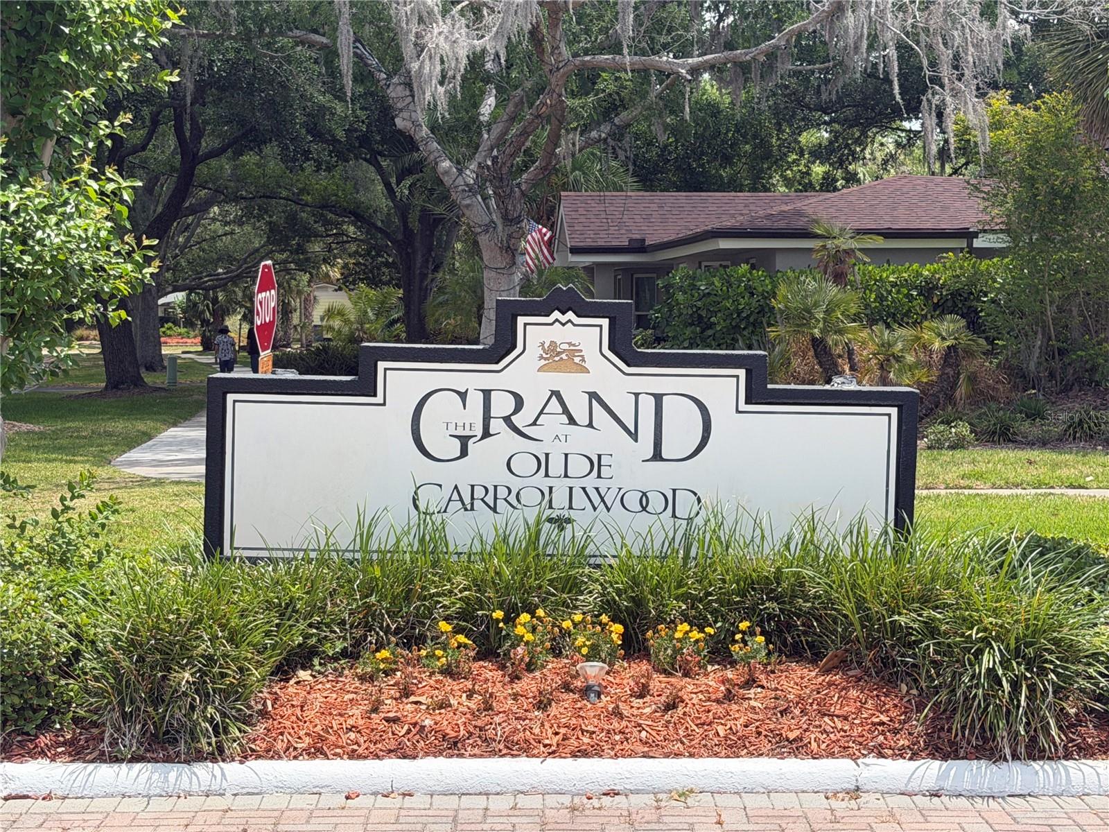 THE GRAND AT OLDE CARROLLWOOD - Residential