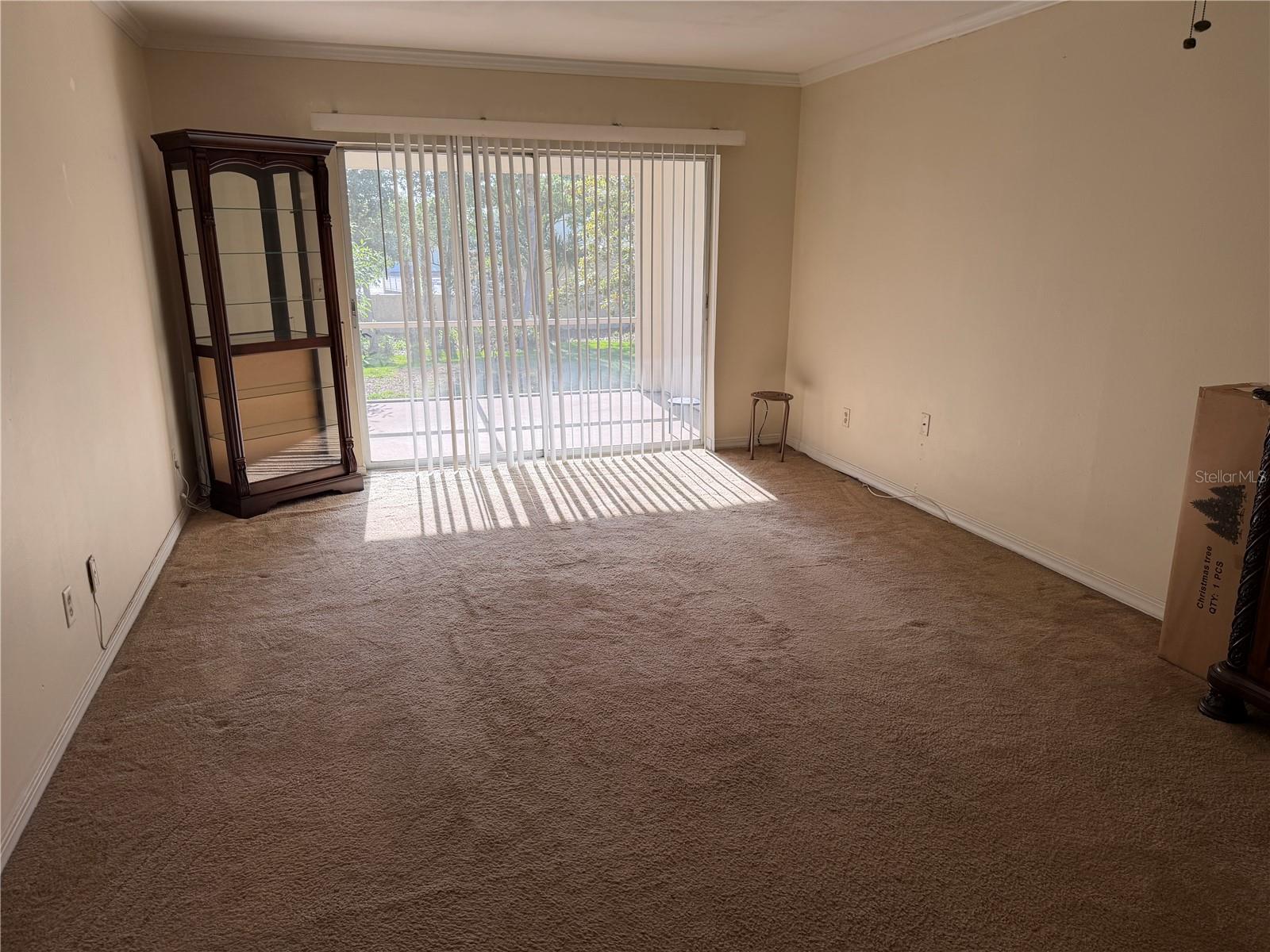 10335 CARROLLWOOD LANE 116