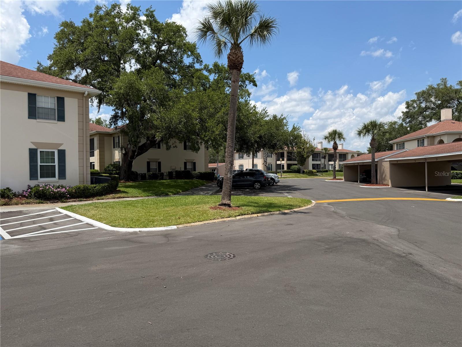 THE GRAND AT OLDE CARROLLWOOD - Residential