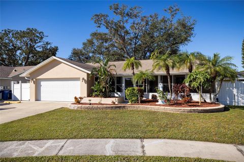 A home in SEMINOLE