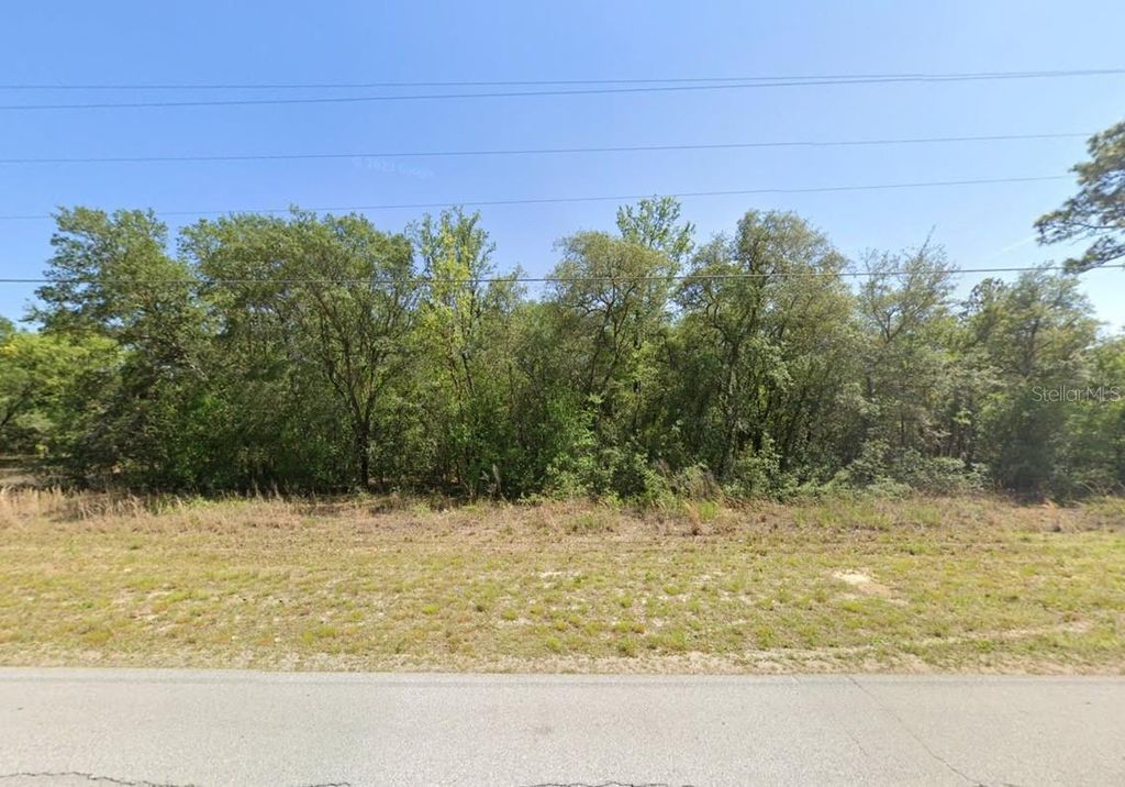 Photo of 23020 SW Rainbow Lakes Boulevard, Dunnellon, FL 34431 (MLS # O6383947)