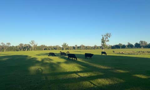 Tiny photo for NW 160 Avenue, Morriston, FL 32668 (MLS # OM717970)