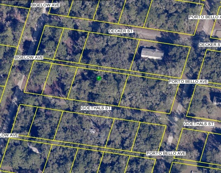 Auction Property. ONLINE AUCTION: Bidding ends 07/29/2025 @ 12:50 PM. List Price is Opening Bid. Deposit: $5,000. A buyer’s premium will be added to High bid.
ATTENTION INVESTORS!
Presenting +/- 20,519 SF of raw land on Rarely Available Goethals Street.
Located in Webster Florida; (within the greater Clearwater Metro area)
Experience the charms of Florida's Gulf Coast, also affectionately known as the "Nature Coast" with one of the many nearby parks-
Such as Weeki Wachee Springs Park State Park, known for its crystal clear spring water, or Withlacoochee State Forest, perfect for biking, hiking, horseback riding, camping, & numerous other outdoor activities.
Surround yourself with nature and enjoy a bucolic existence while still maintaining convenience.
+/- 36.5 Miles to the Gulf Coast Beaches, via Baypoint Park Pier.
For additional information as well as full terms and conditions please visit auctioneer’s website.