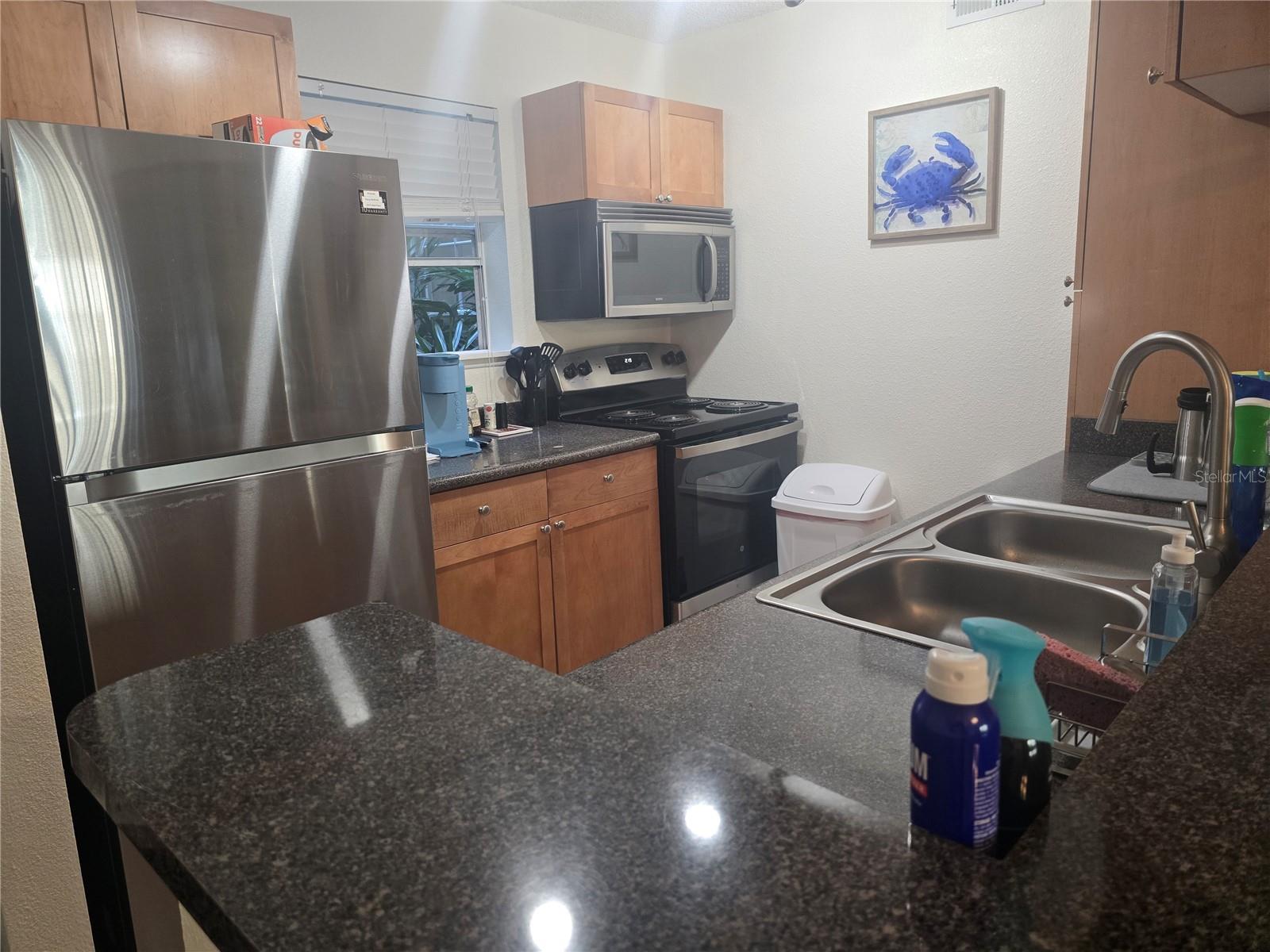 FOUNTAINS AT COUNTRYSIDE CONDO - Residential Lease