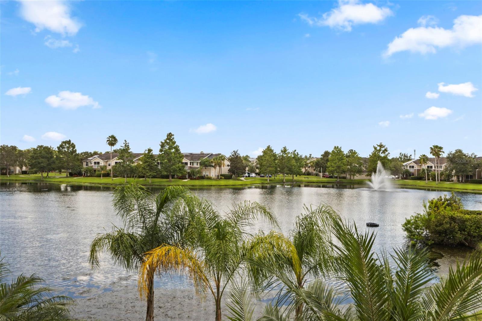 THE VILLAGE AT TOWNPARK - Residential