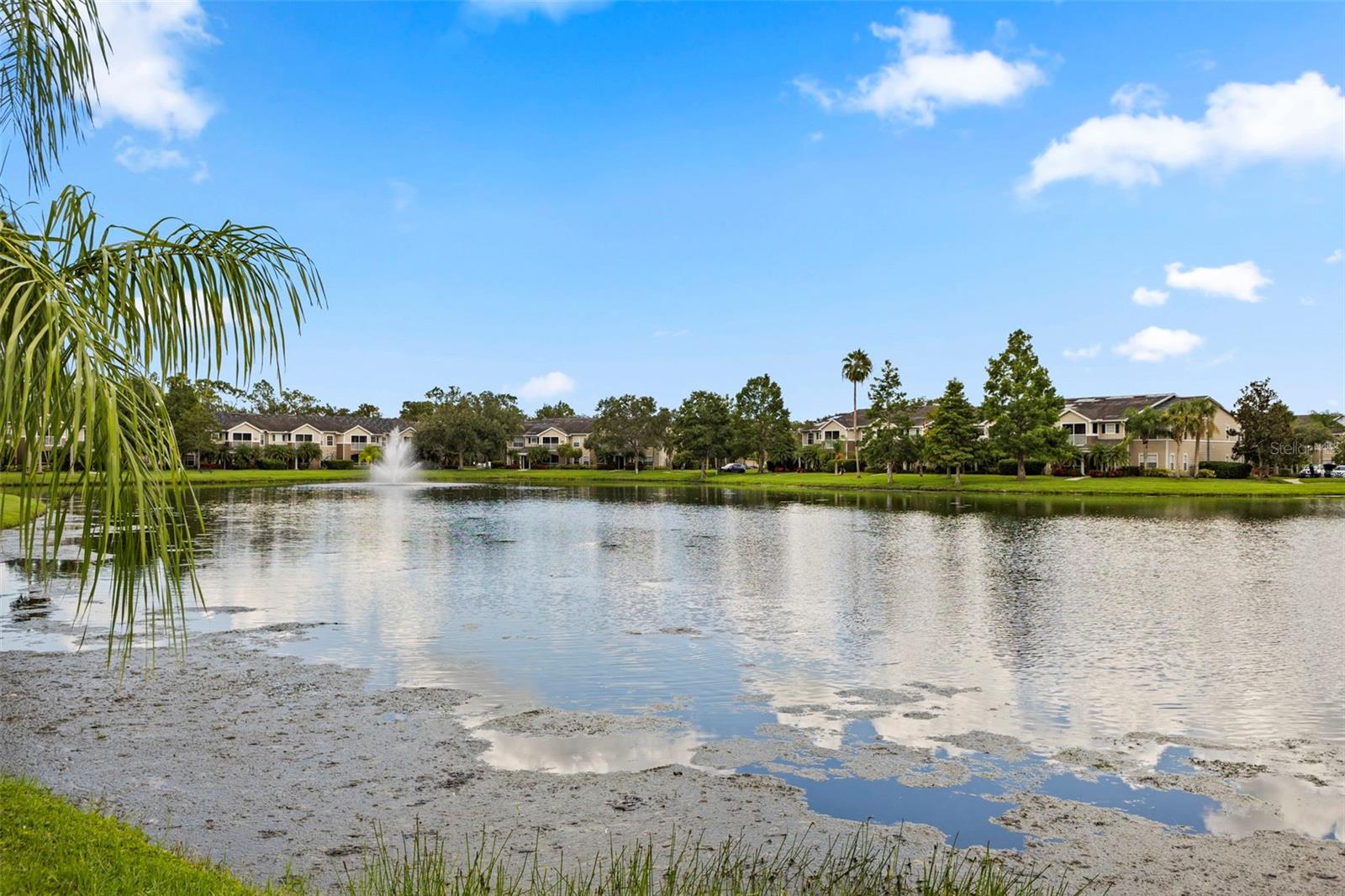 THE VILLAGE AT TOWNPARK - Residential