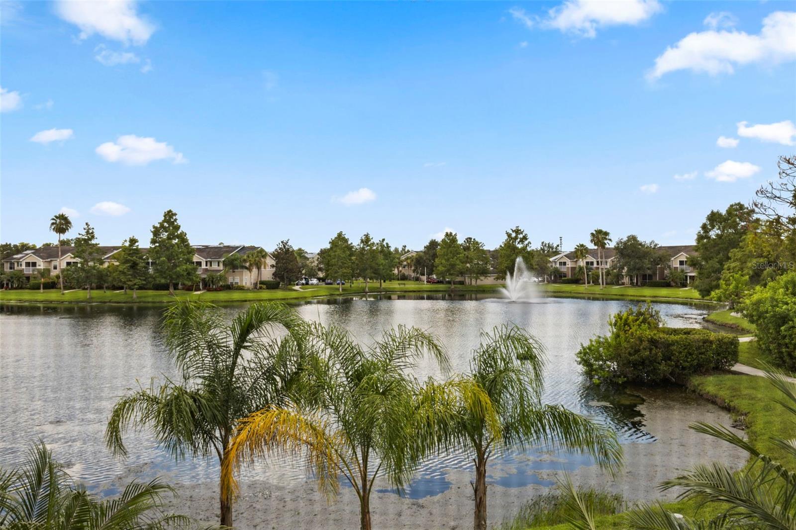 THE VILLAGE AT TOWNPARK - Residential