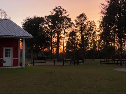 Tiny photo for 11370 SE 12th Lane, Morriston, FL 32668 (MLS # OM721094)