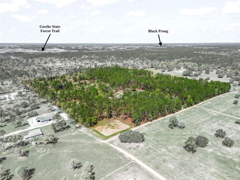 Tiny photo for 11370 SE 12th Lane, Morriston, FL 32668 (MLS # OM721094)