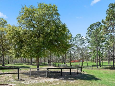 Tiny photo for 11370 SE 12th Lane, Morriston, FL 32668 (MLS # OM721094)