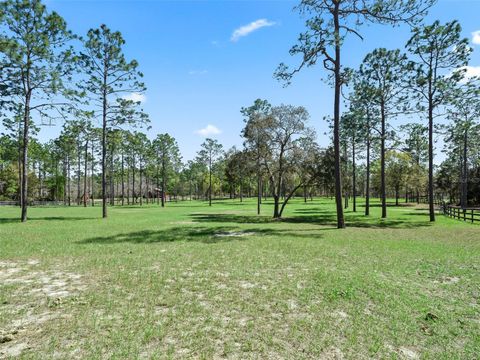 Tiny photo for 11370 SE 12th Lane, Morriston, FL 32668 (MLS # OM721094)