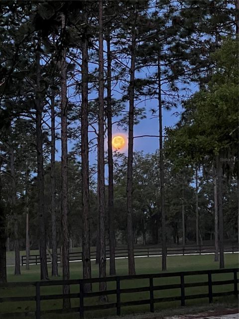 Tiny photo for 11370 SE 12th Lane, Morriston, FL 32668 (MLS # OM721094)