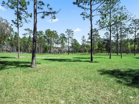 Tiny photo for 11370 SE 12th Lane, Morriston, FL 32668 (MLS # OM721094)