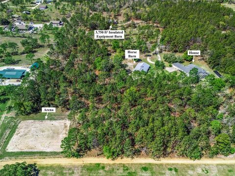 Tiny photo for 11370 SE 12th Lane, Morriston, FL 32668 (MLS # OM721094)