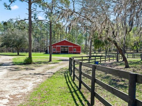 Tiny photo for 11370 SE 12th Lane, Morriston, FL 32668 (MLS # OM721094)