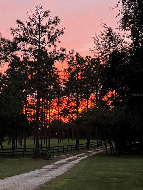 Tiny photo for 11370 SE 12th Lane, Morriston, FL 32668 (MLS # OM721094)