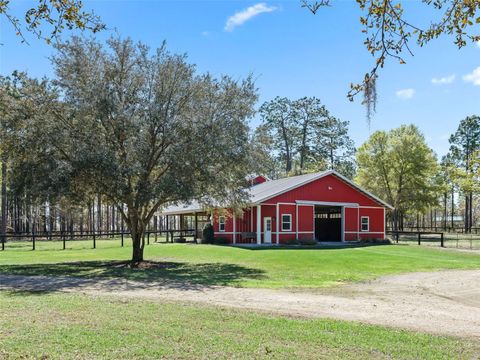 Tiny photo for 11370 SE 12th Lane, Morriston, FL 32668 (MLS # OM721094)