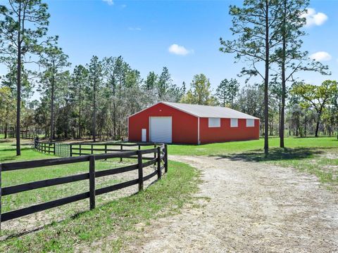 Tiny photo for 11370 SE 12th Lane, Morriston, FL 32668 (MLS # OM721094)