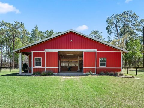 Tiny photo for 11370 SE 12th Lane, Morriston, FL 32668 (MLS # OM721094)