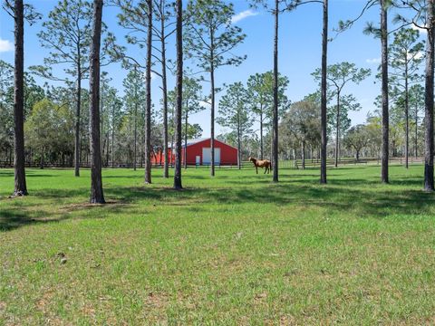 Tiny photo for 11370 SE 12th Lane, Morriston, FL 32668 (MLS # OM721094)