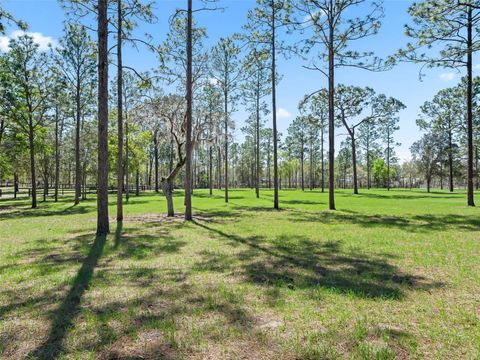 Tiny photo for 11370 SE 12th Lane, Morriston, FL 32668 (MLS # OM721094)