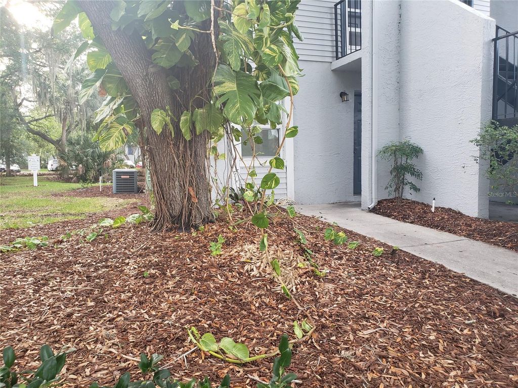 Photo of 7100 Waterside Drive, Tampa, FL 33617 (MLS # TB8456776)