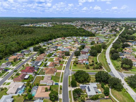 A home in KISSIMMEE