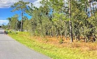 SILVER SPRINGS SHORES