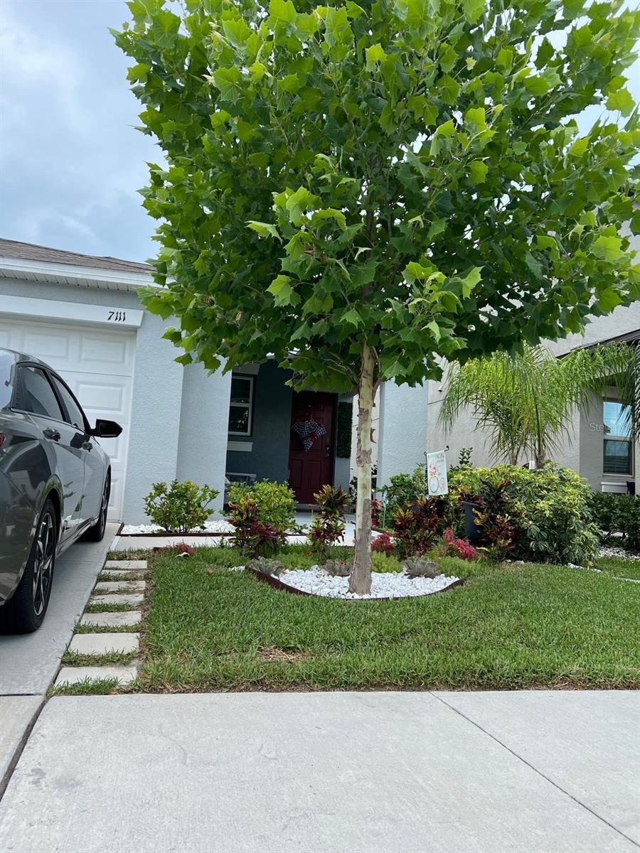 7111 AMELIA COVE COURT