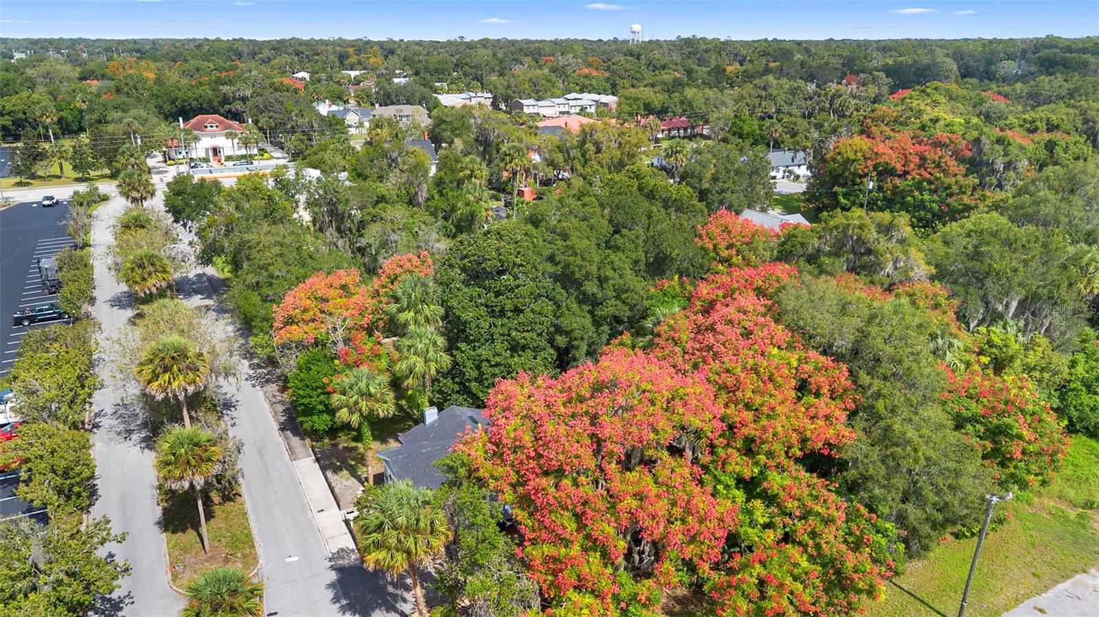 FARRARS LT 01 ASSESSORS DELAND - Residential