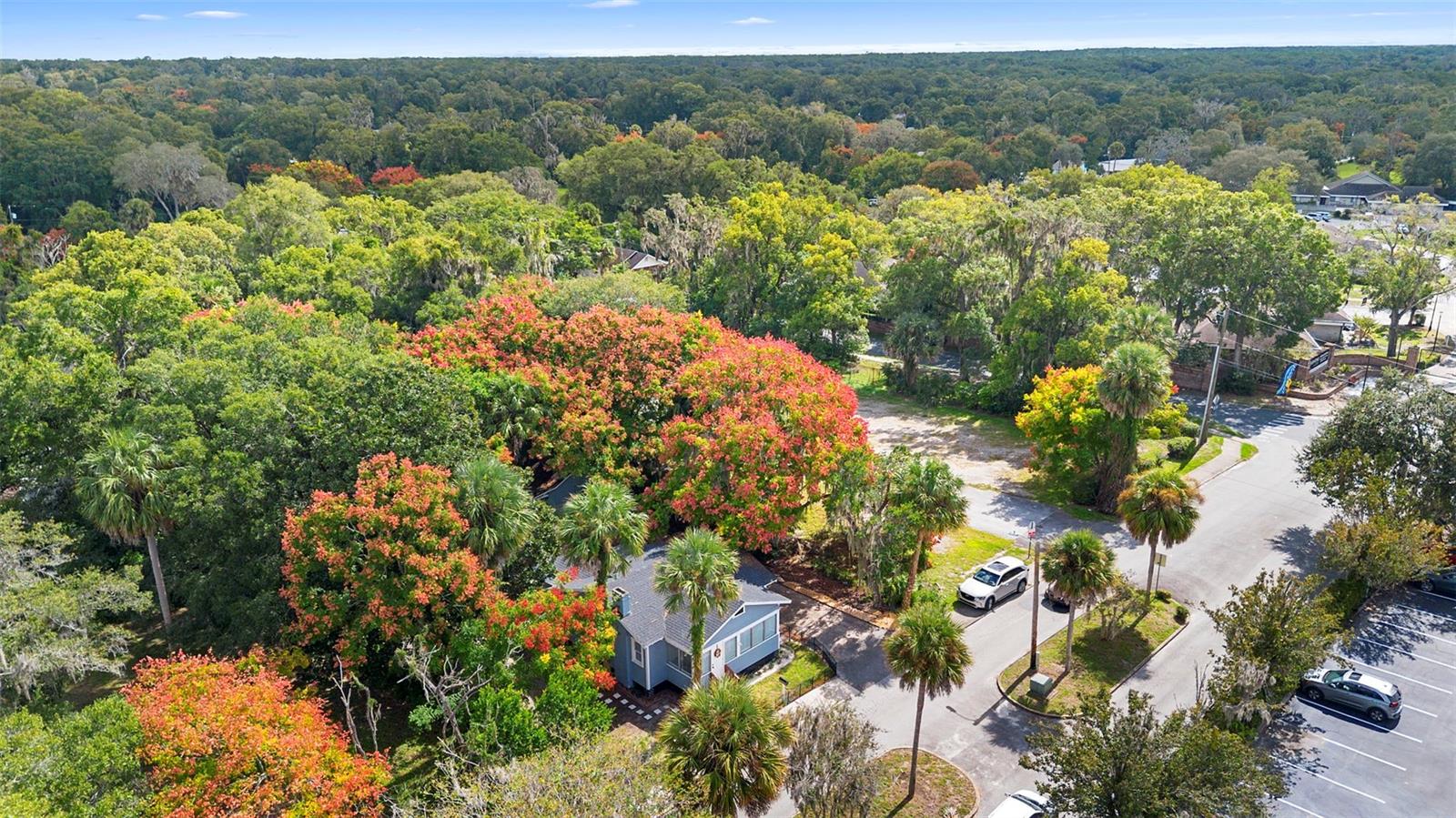 FARRARS LT 01 ASSESSORS DELAND - Residential