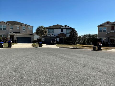 1002 BERRY LEAF COURT APOPKA FL 32703