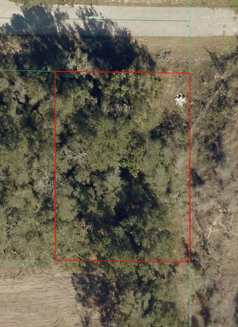 Check out and purchase this QUARTER ACRE LOT in Florida's fastest-growing city! This ELEVATED and DRY parcel offers a solid foundation; perfect for your future construction projects. Ideal for investors and buyers looking to secure an investment opportunity and capitalize on rapid SUBURBAN growth!