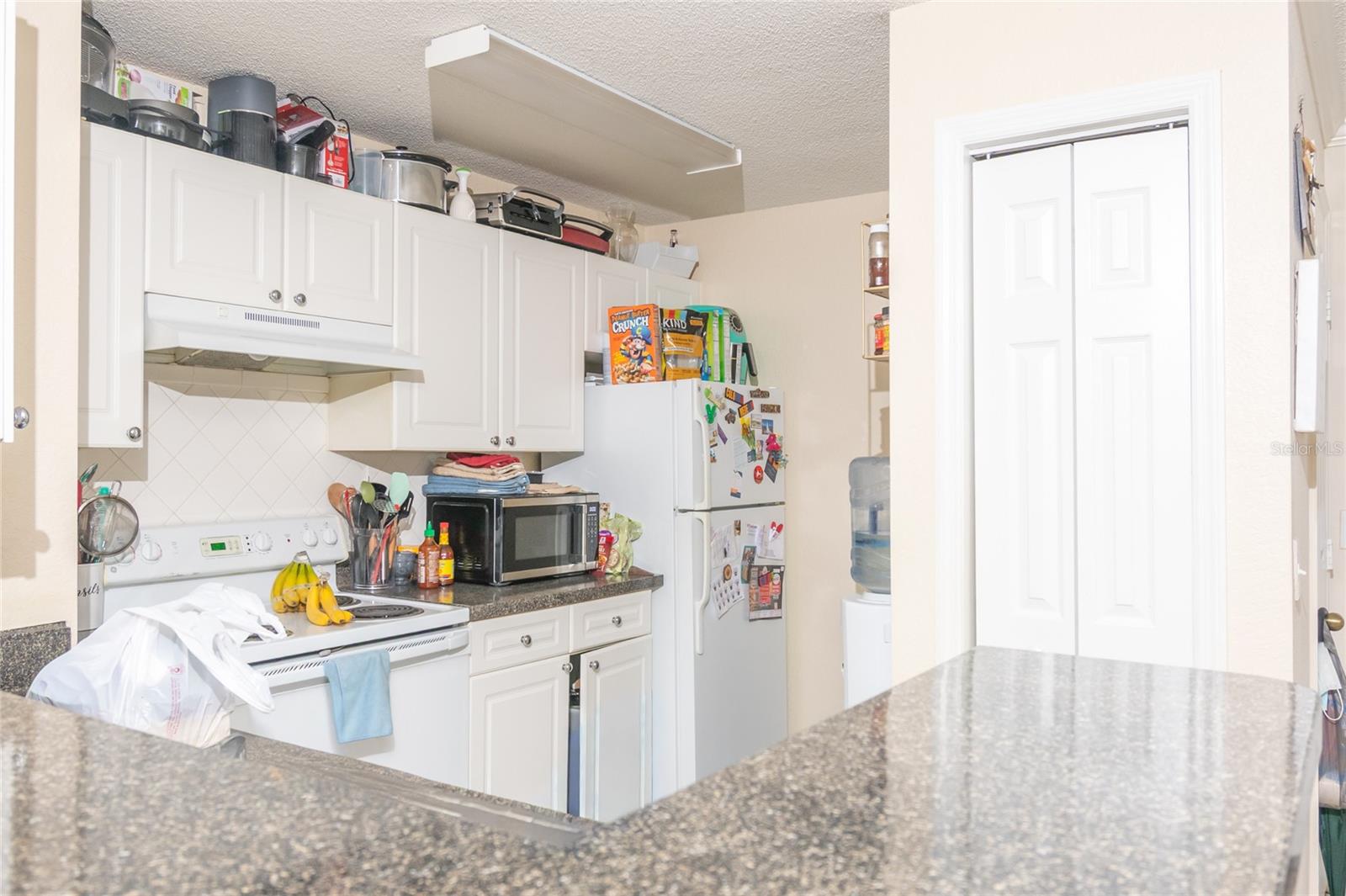 THE ENCLAVE AT RICHMOND PLACE - Residential