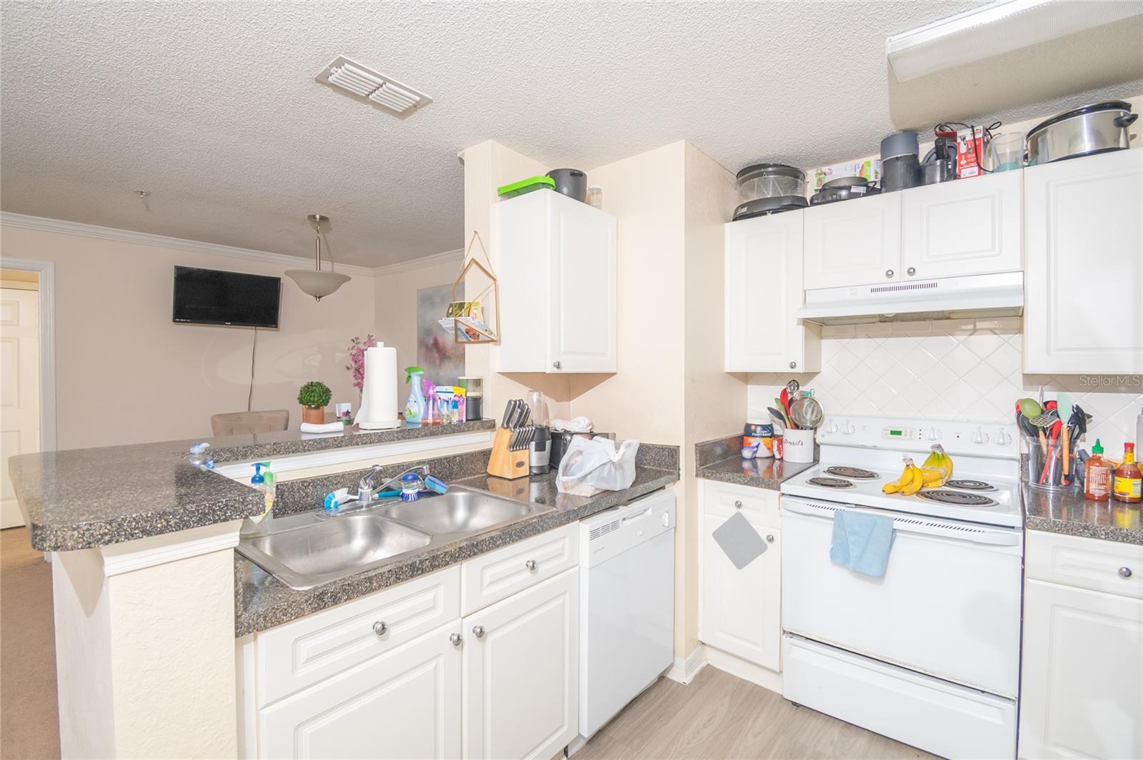 THE ENCLAVE AT RICHMOND PLACE - Residential