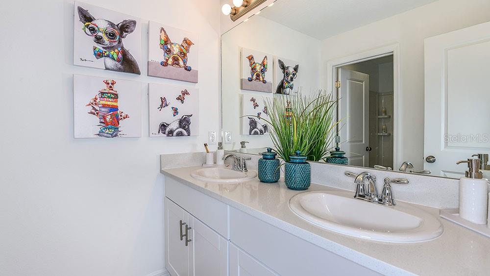 COVE AT COASTERRA - Residential